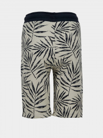 Шорты DeFacto модель U4623A6-BG662 Фото