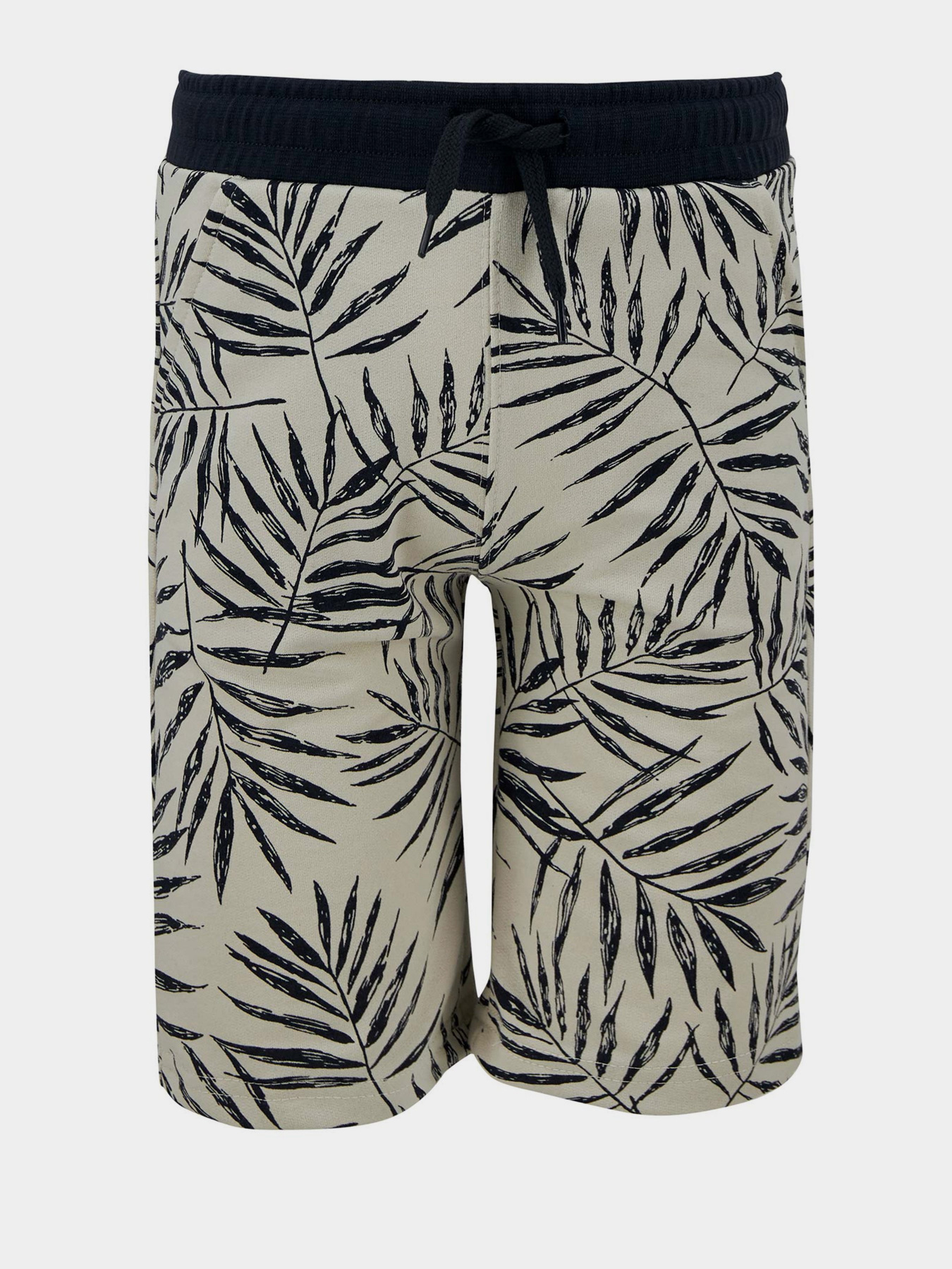 Повседневные шорты DeFacto модель U4623A6-BG662 Фото