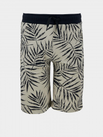 Повседневные шорты DeFacto модель U4623A6-BG662 Фото