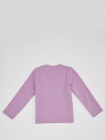 Свитшот DeFacto модель R2050A6-PR250 Фото