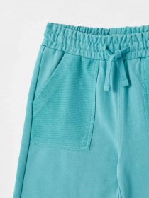 Повседневные шорты DeFacto модель U7690A6-TR384 Повседневные шорты DeFacto модель U7690A6-TR384 Фото