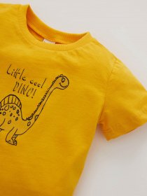 Футболка DeFacto модель T9881A2-YL175 Фото