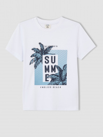 Набор футболок DeFacto модель U3737A6-WT43 Фото