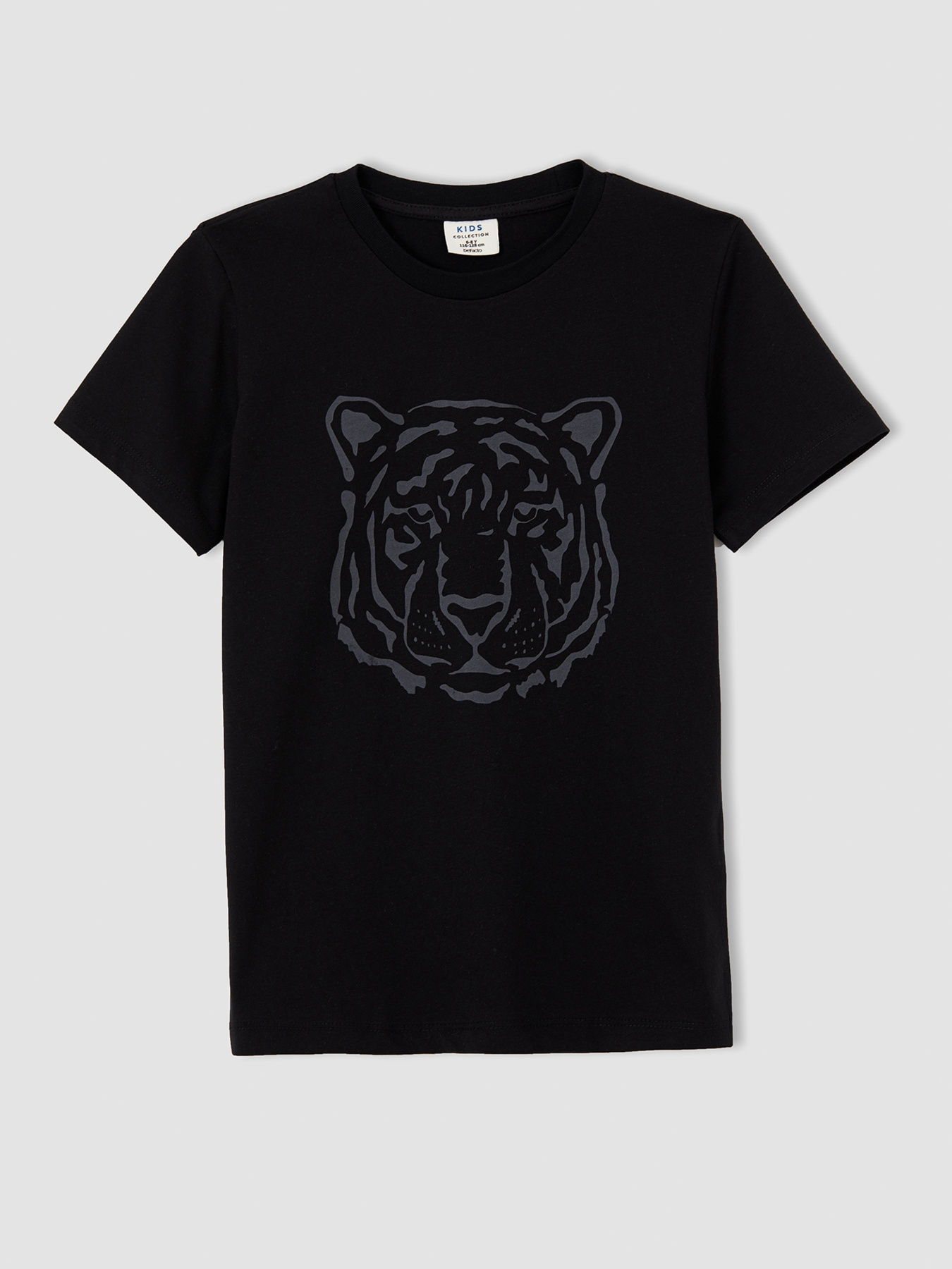 Набор футболок DeFacto модель U3739A6-YL58 Фото