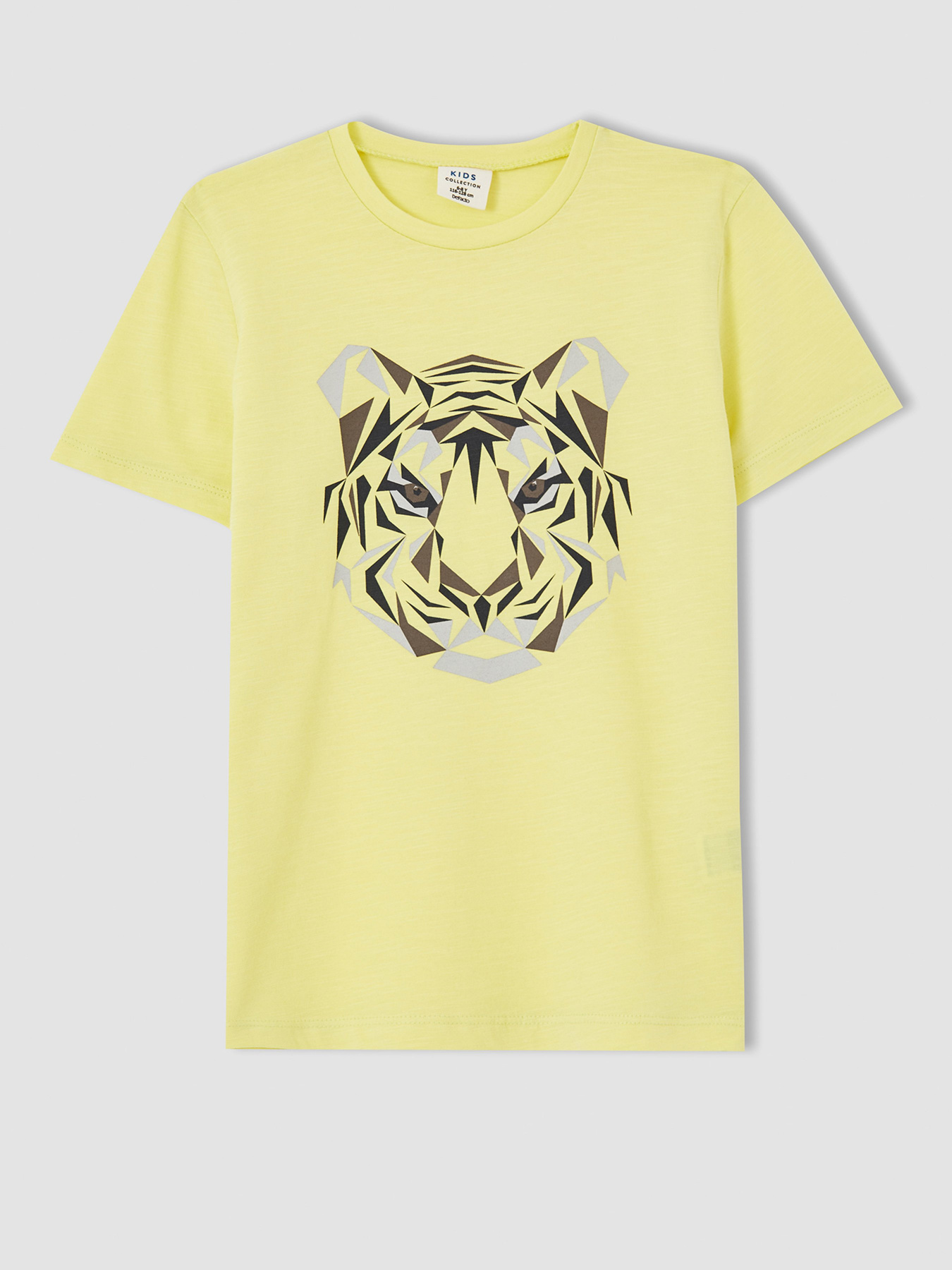 Набор футболок DeFacto модель U3739A6-YL58 Фото