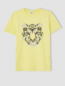 Набор футболок DeFacto модель U3739A6-YL58 Фото