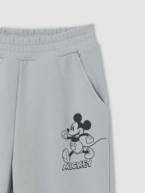 Штаны спортивные DeFacto модель V1613A6-BE417 Фото