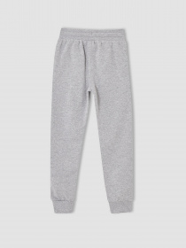 Штаны спортивные DeFacto модель V3681A6-GR210 Фото