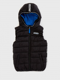 Утепленный жилет DeFacto модель N8112A6-BK27 Фото