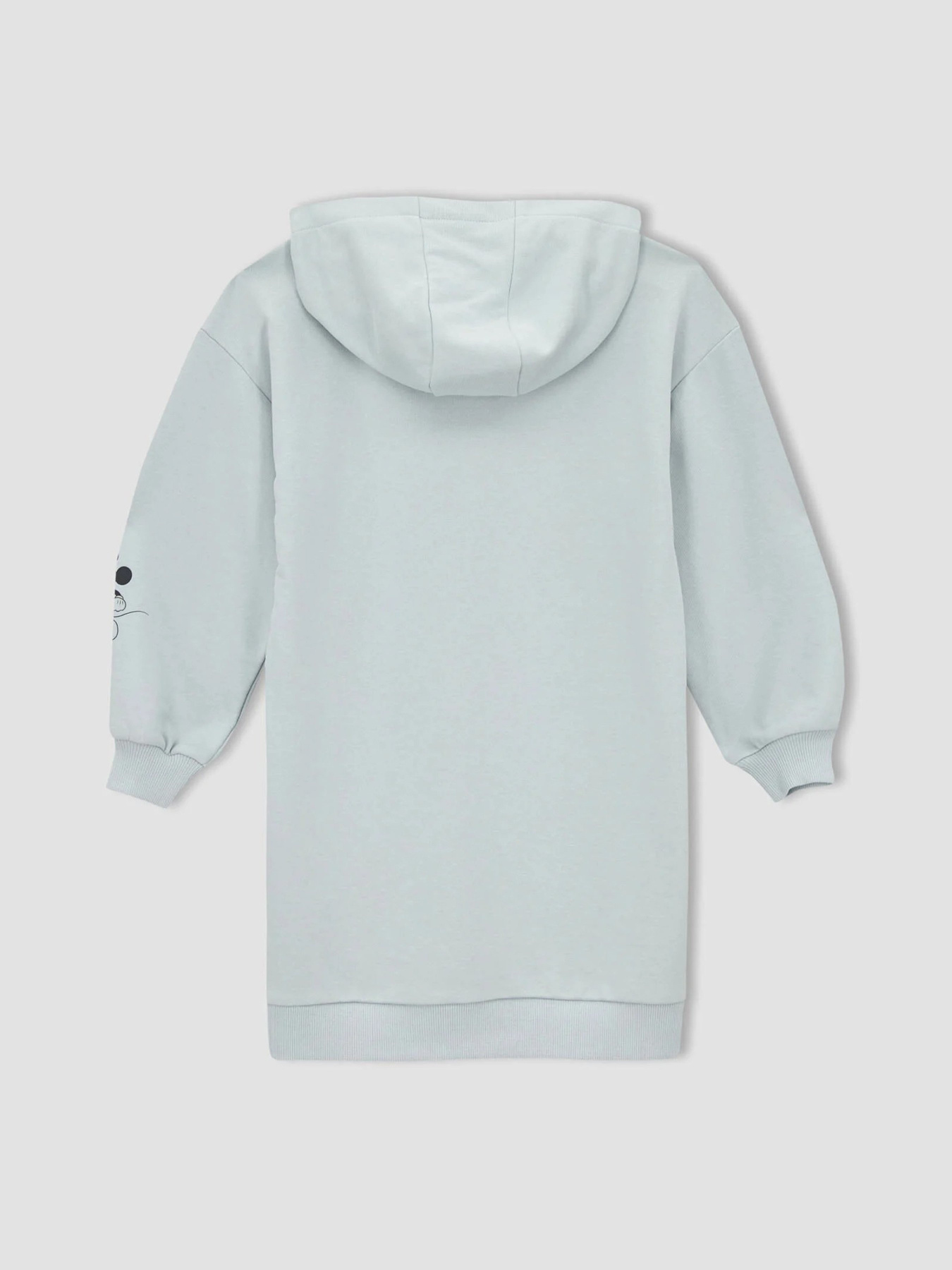 Платье мини DeFacto модель V1630A6-BE417 Фото