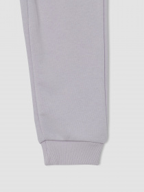 Спортивні штани DeFacto модель U6489A6-PR307 Фото