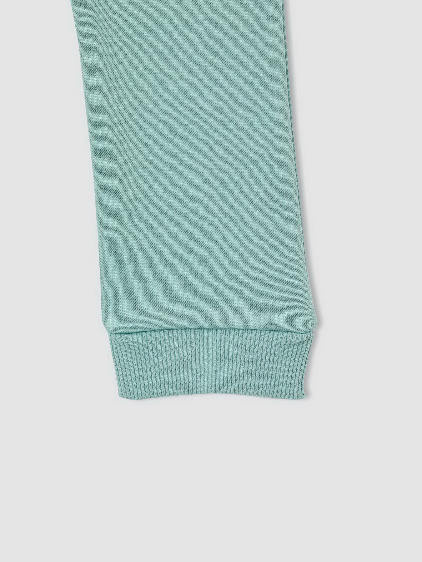 Легінси DeFacto модель J0220A6-TR157 Фото