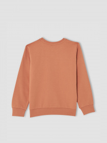 Спортивный костюм DeFacto модель V0804A6-OG529 Фото