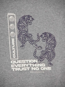 Спортивный костюм DeFacto модель V0809A6-GR210 Фото