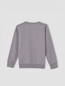 Спортивный костюм DeFacto модель V0804A6-GR423 Фото