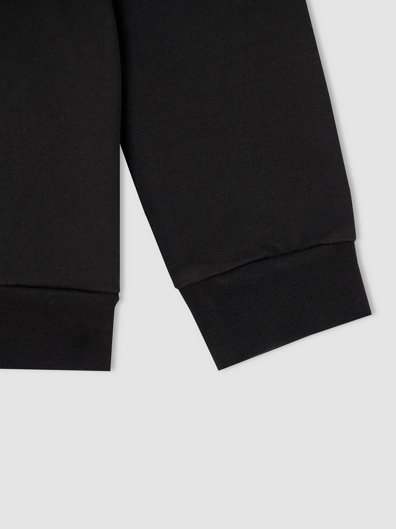 Свитшот DeFacto модель V0038A6-BK54 Фото