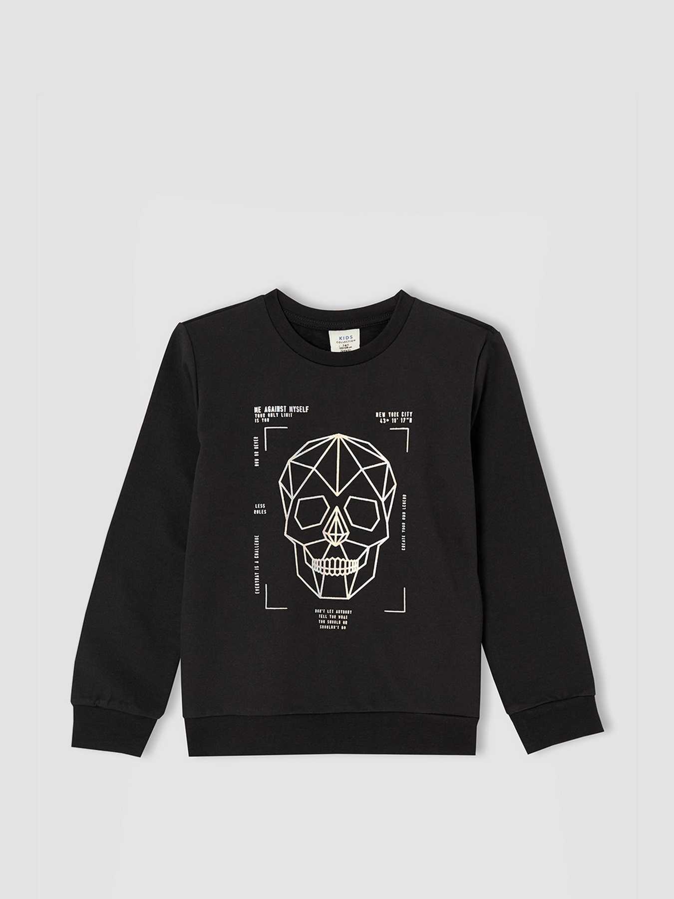 Свитшот DeFacto модель V0038A6-BK54 Фото