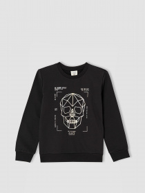 Свитшот DeFacto модель V0038A6-BK54 Фото