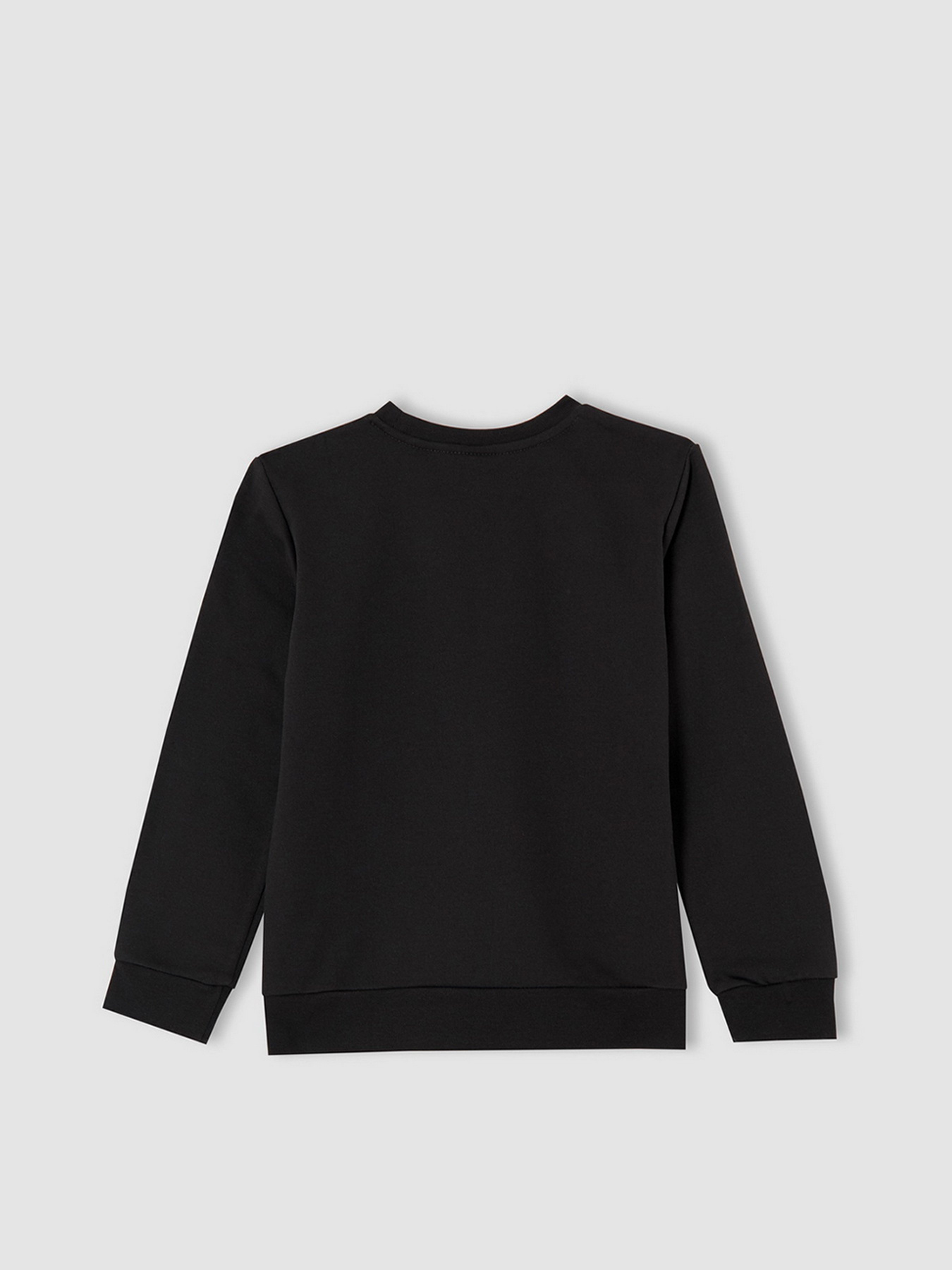 Свитшот DeFacto модель V0038A6-BK54 Фото