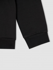 Свитшот DeFacto модель V0038A6-BK54 Фото