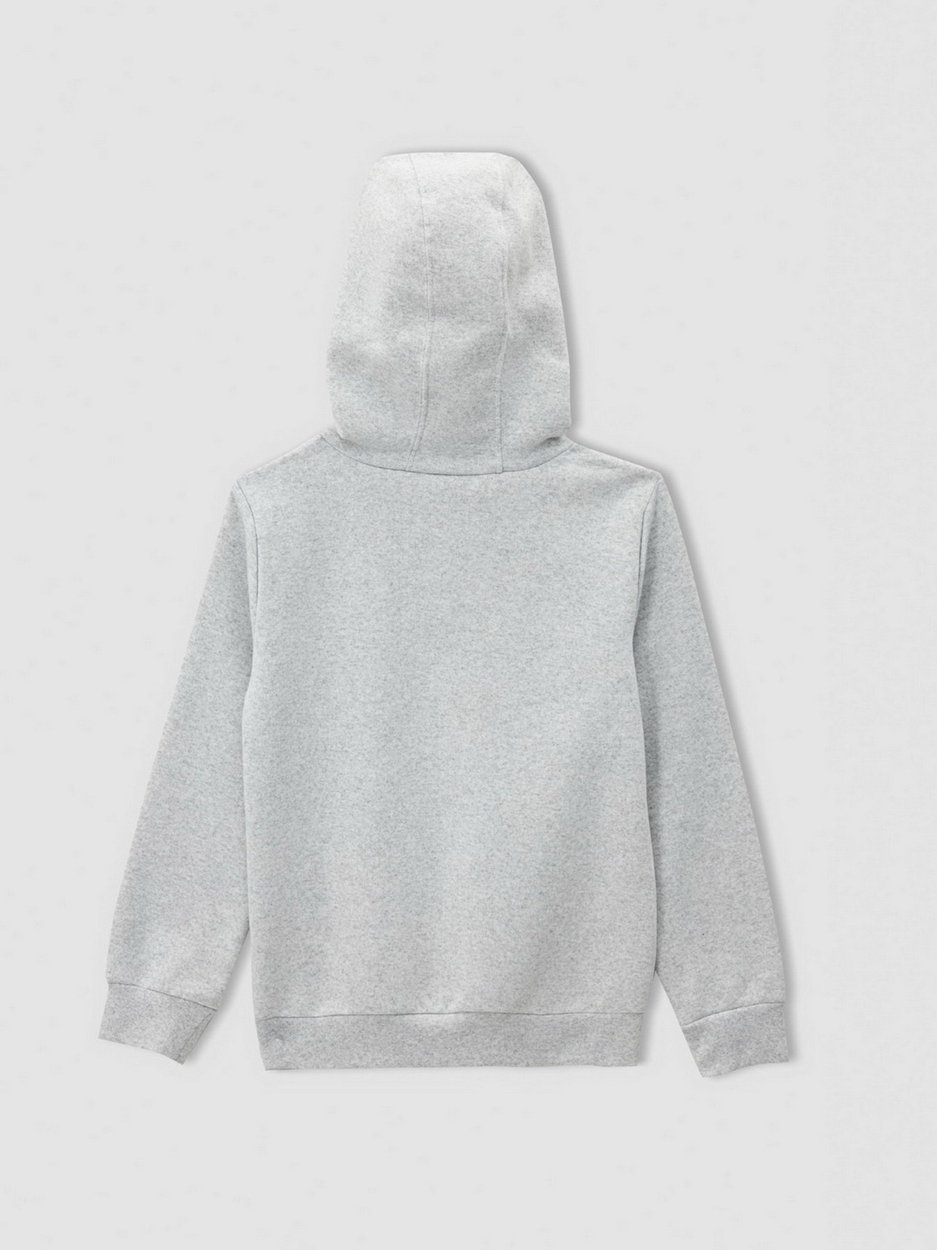 Худи DeFacto модель U7283A6-GR400 Фото