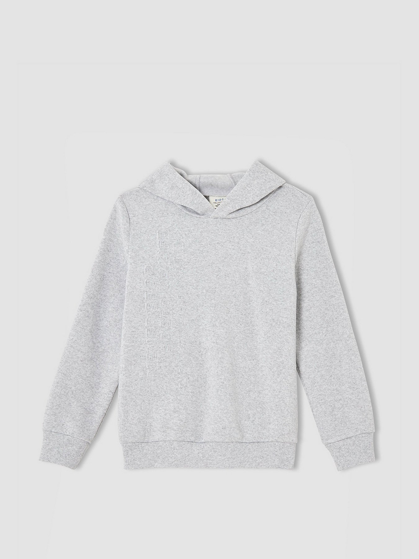 Худи DeFacto модель U7283A6-GR400 Фото