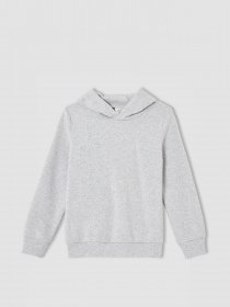 Худи DeFacto модель U7283A6-GR400 Фото