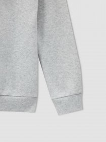 Худі DeFacto модель U7283A6-GR400 Фото