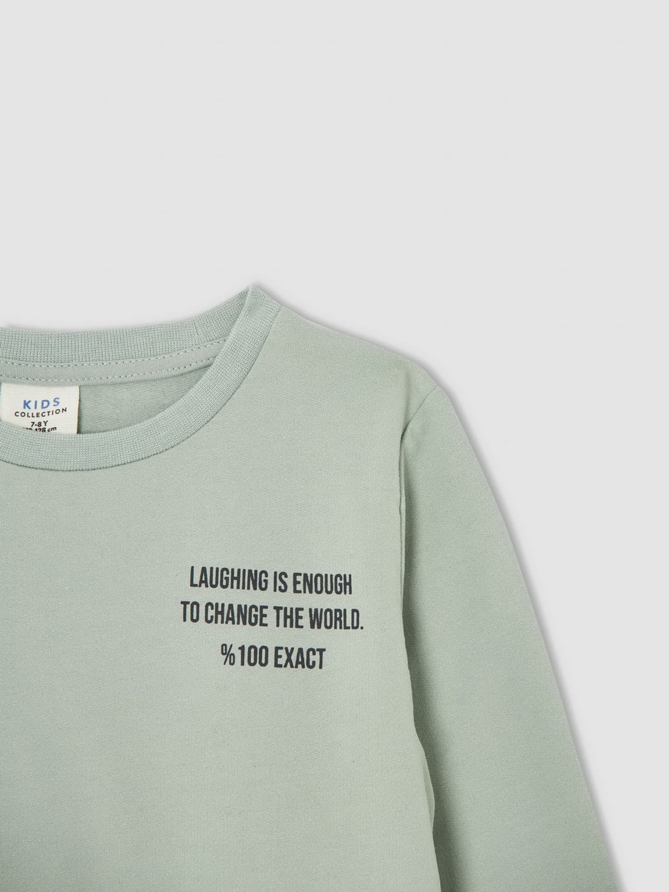 Свитшот DeFacto модель V3484A6-TR381 Фото