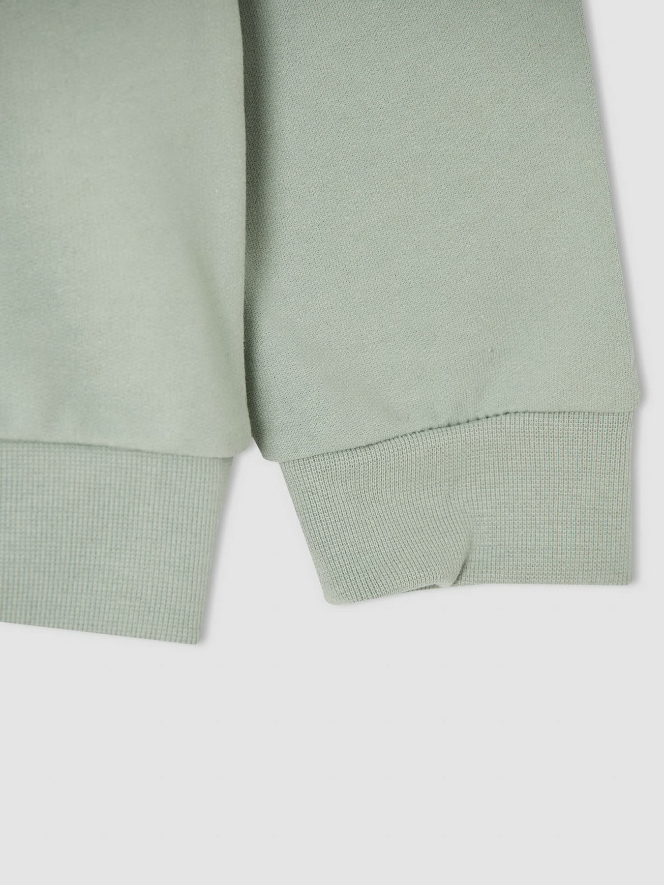 Свитшот DeFacto модель V3484A6-TR381 Фото