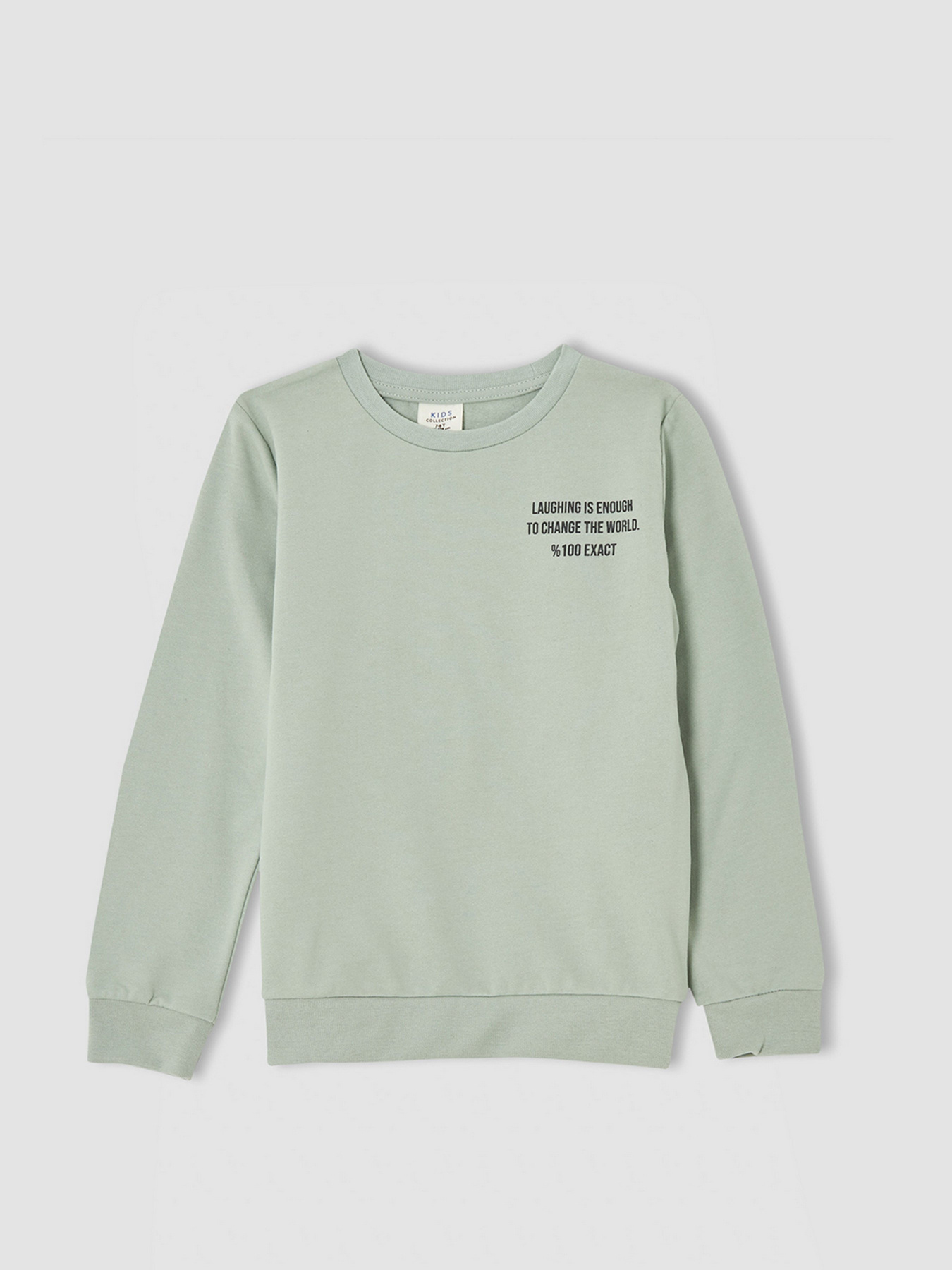 Свитшот DeFacto модель V3484A6-TR381 Фото