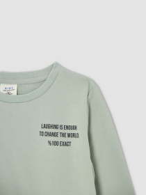 Свитшот DeFacto модель V3484A6-TR381 Фото