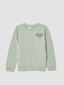 Свитшот DeFacto модель V3484A6-TR381 Фото