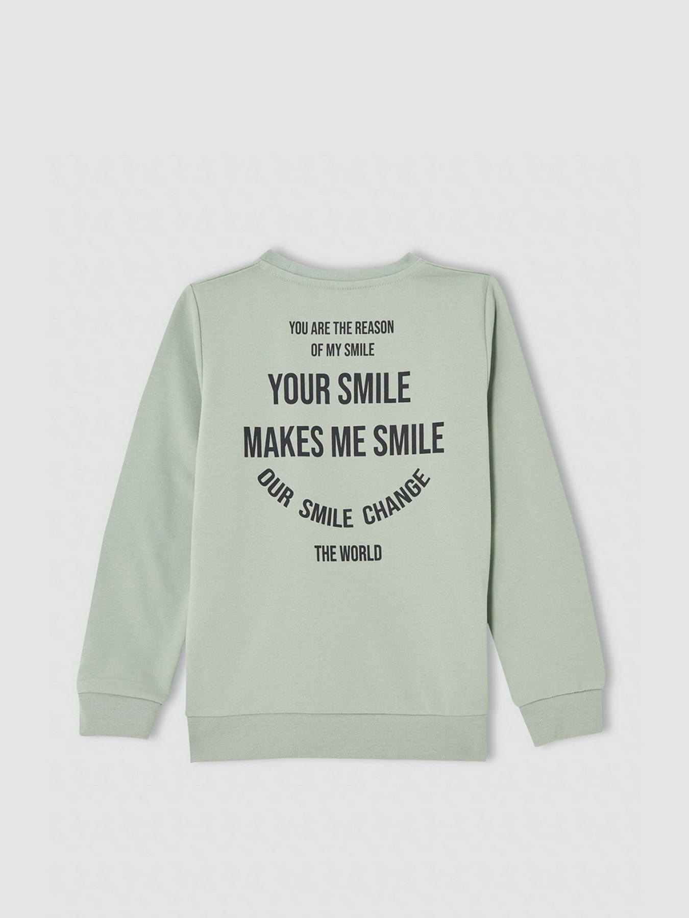 Свитшот DeFacto модель V3484A6-TR381 Фото