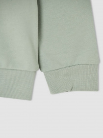 Свитшот DeFacto модель V3484A6-TR381 Фото