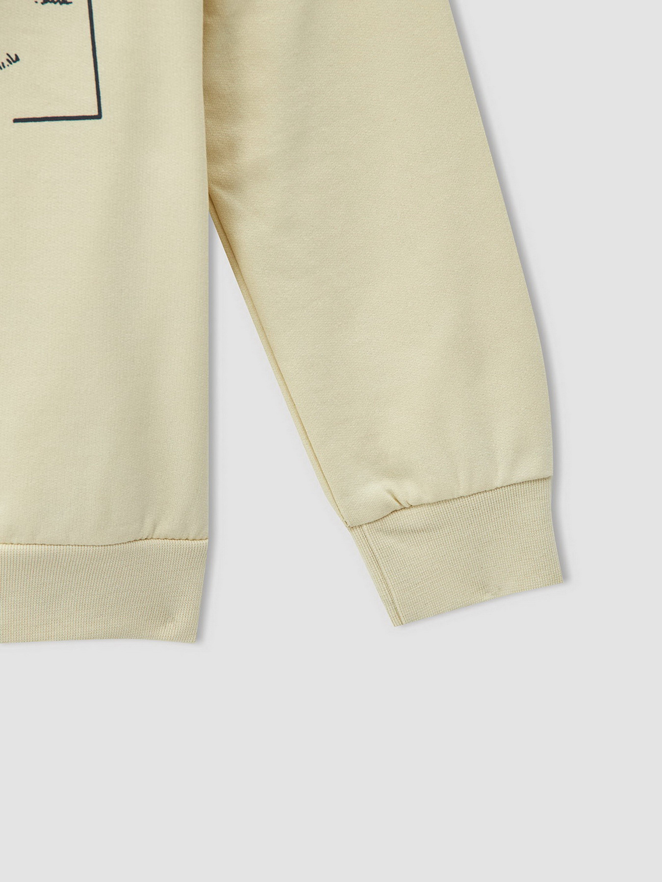 Світшот DeFacto модель V3333A6-BG356 Фото