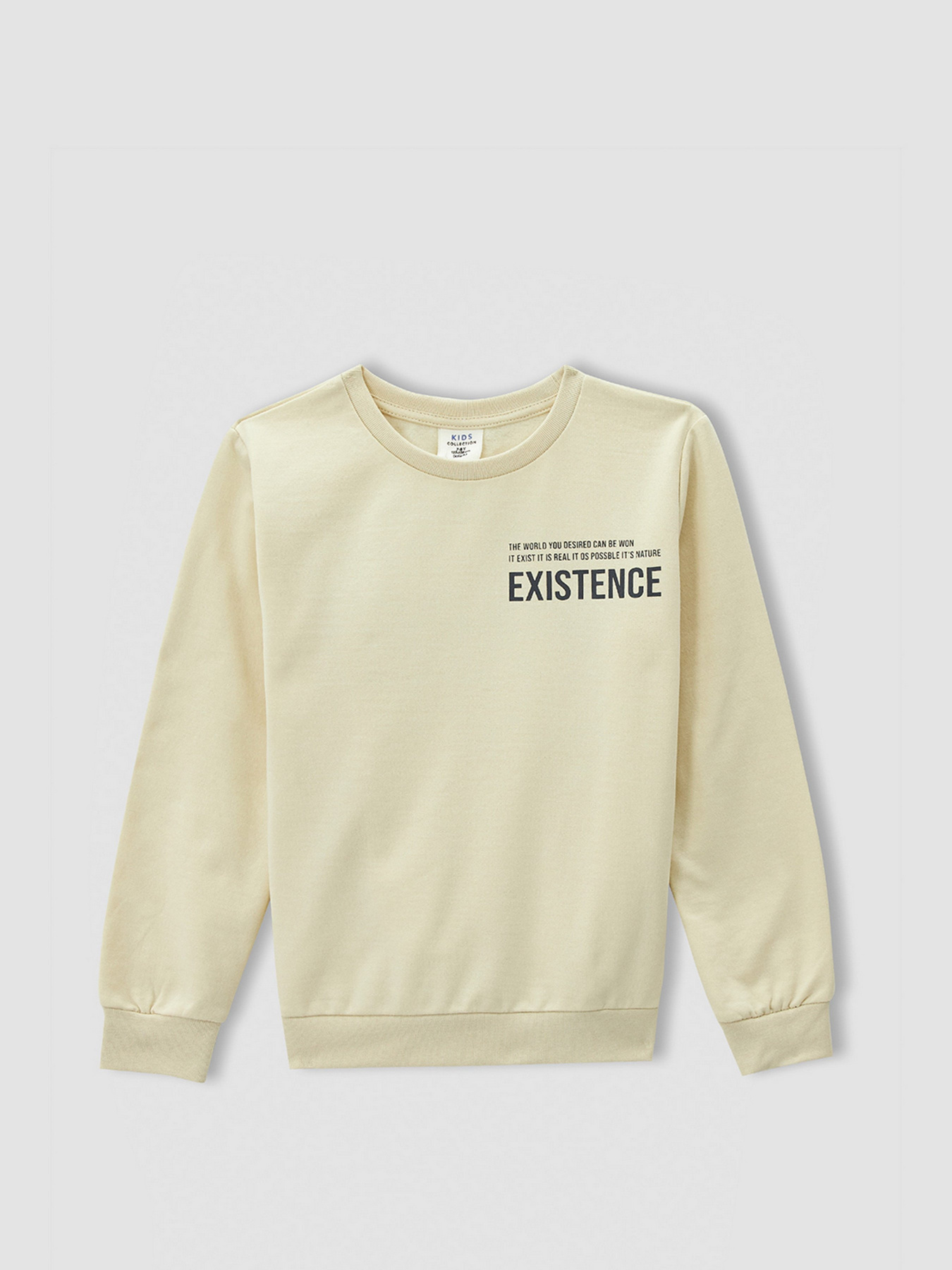 Світшот DeFacto модель V3333A6-BG356 Фото