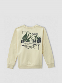 Світшот DeFacto модель V3333A6-BG356 Фото