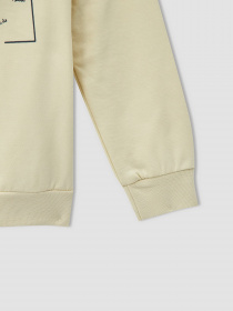 Світшот DeFacto модель V3333A6-BG356 Фото