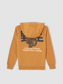 Худі DeFacto модель V3631A6-OG530 Фото