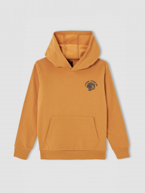 Худі DeFacto модель V3631A6-OG530 Фото