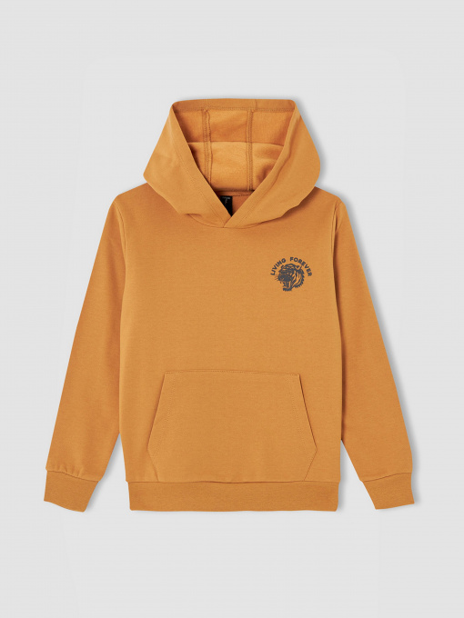 Худи DeFacto модель V3631A6-OG530 Фото