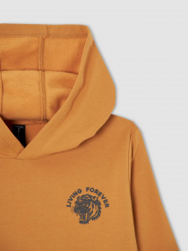 Худі DeFacto модель V3631A6-OG530 Фото