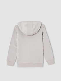 Худі DeFacto модель V3305A6-GR424 Фото