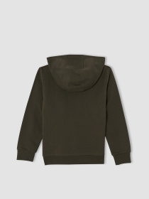 Худи DeFacto модель V6487A6-KH171 Фото