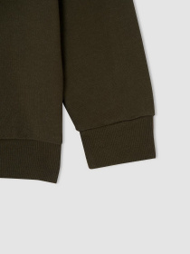 Худи DeFacto модель V6487A6-KH171 Фото