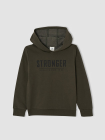 Худи DeFacto модель V6487A6-KH171 Фото