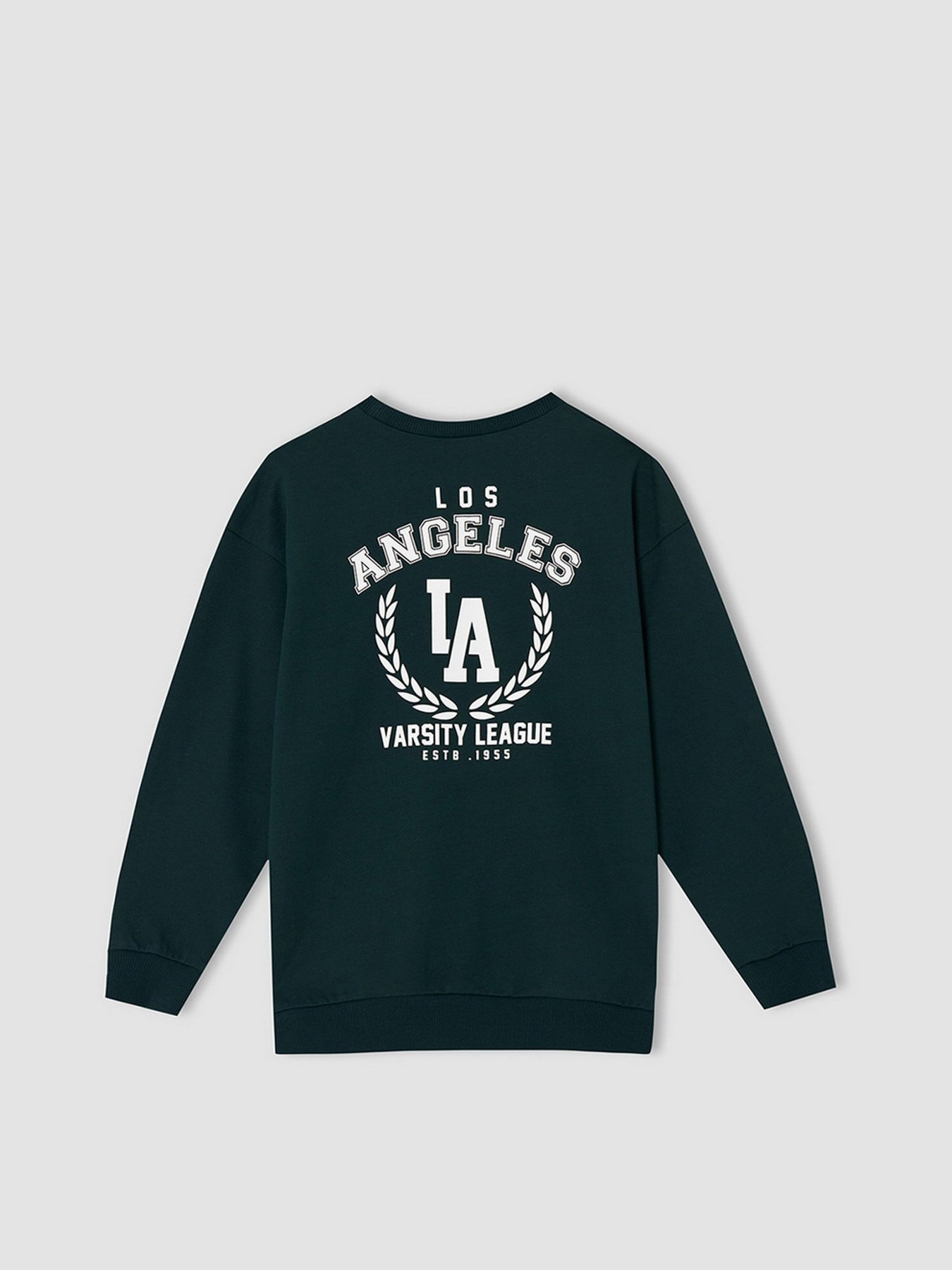 Свитшот DeFacto модель W1483A6-GN493 Фото