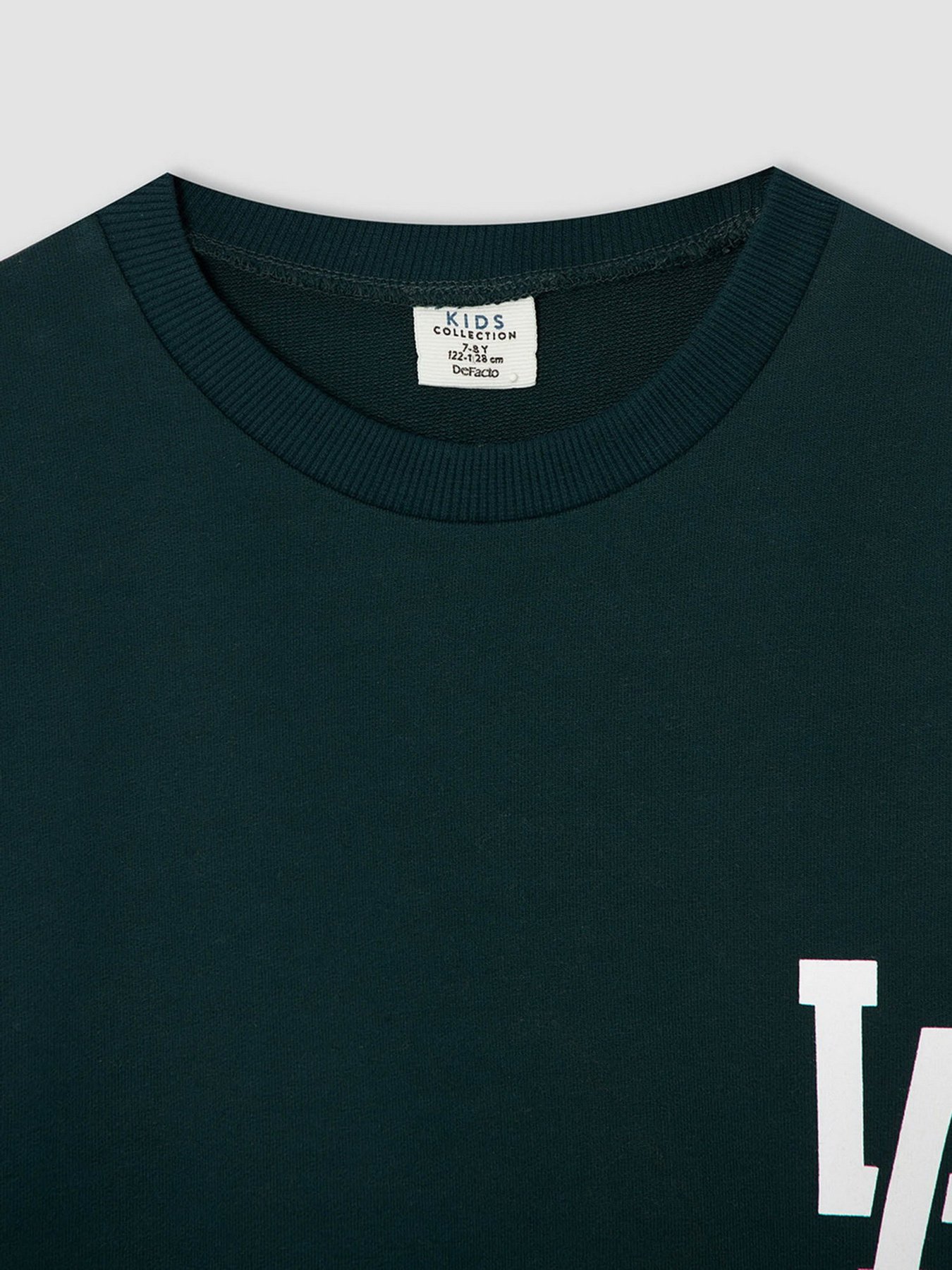 Свитшот DeFacto модель W1483A6-GN493 Фото