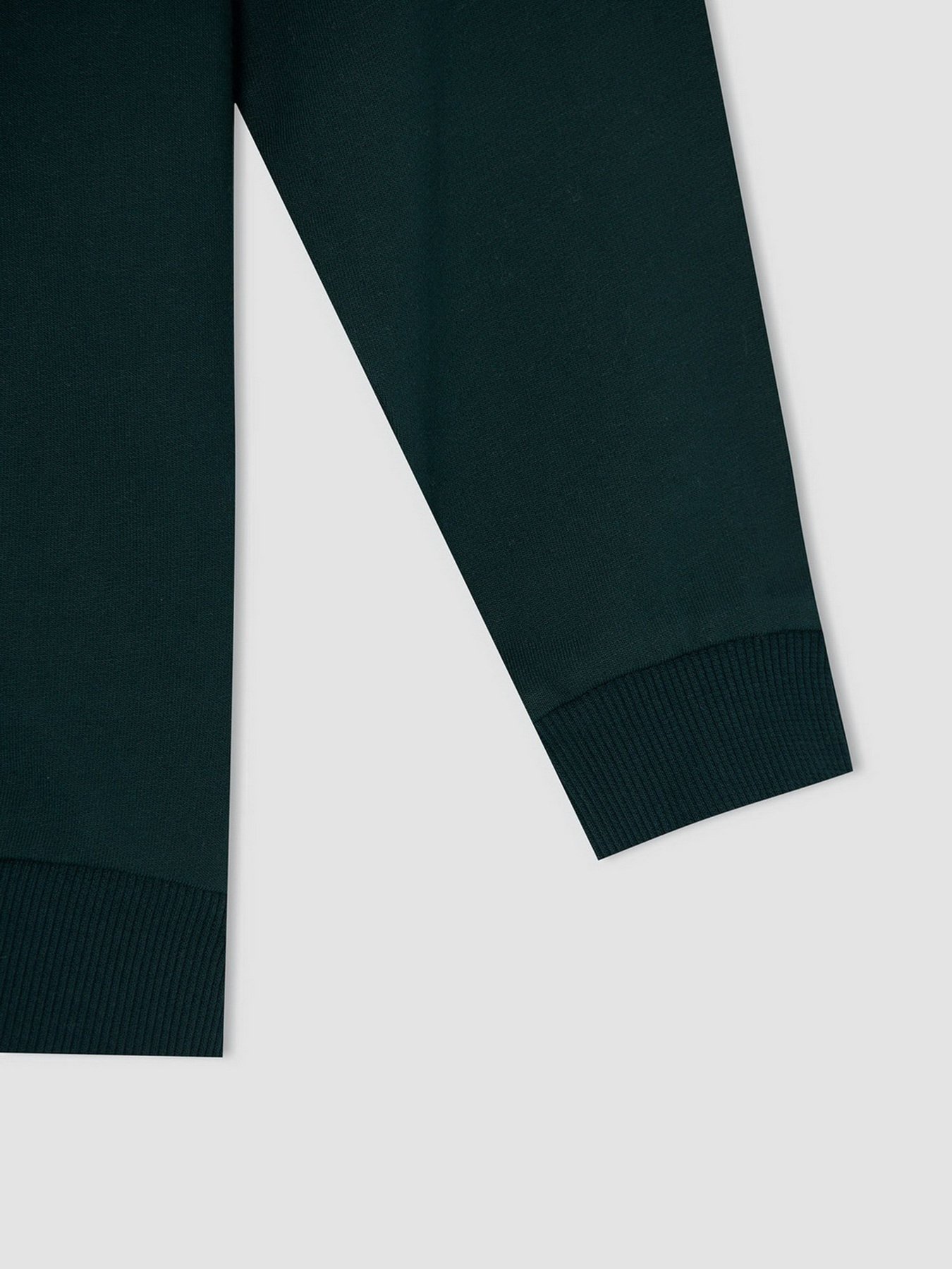 Свитшот DeFacto модель W1483A6-GN493 Фото